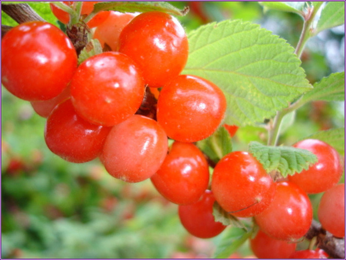 125CE7114B6FE1757B3D84